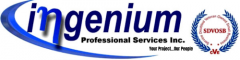 Ingenium Professional Services