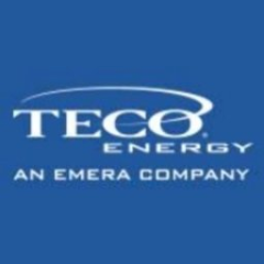 Teco Energy