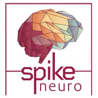 Spike Neuro LLC