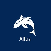 Allus Consultoria Estratégica e Financeira