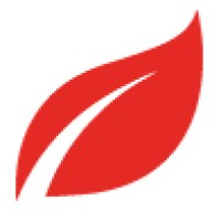 Ergo-Flex Technologies