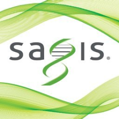 SAGIS PLLC