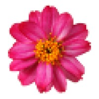Zinnia Health