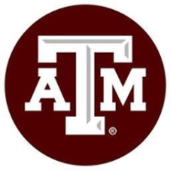 Texas A&M Engineering