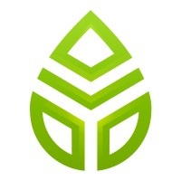 Sourgum
