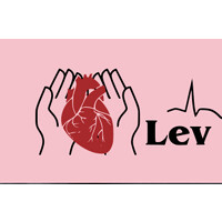 LEV DIAGNOSTICS LLC