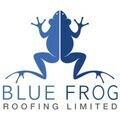 Blue Frog Roofing