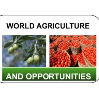 World Agriculture &amp; Opportunities