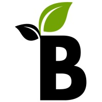 Bloom Talent Solutions