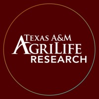Texas A&amp;M AgriLife Research