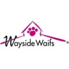 Wayside Waifs Inc