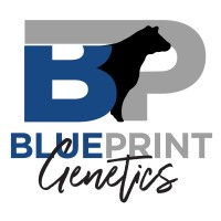 Blueprint Genetics LLC
