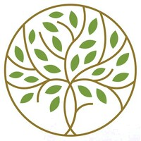The Willow Collective