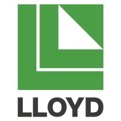 LLOYD COMPANIES INC