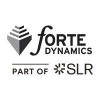 Forte Dynamics