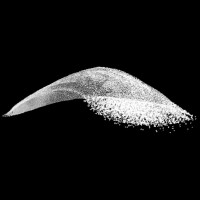 Emergence