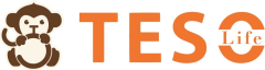 TESOLIFE US